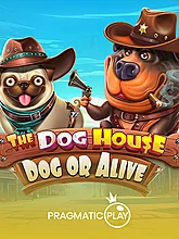 The Dog House Dog or Alive